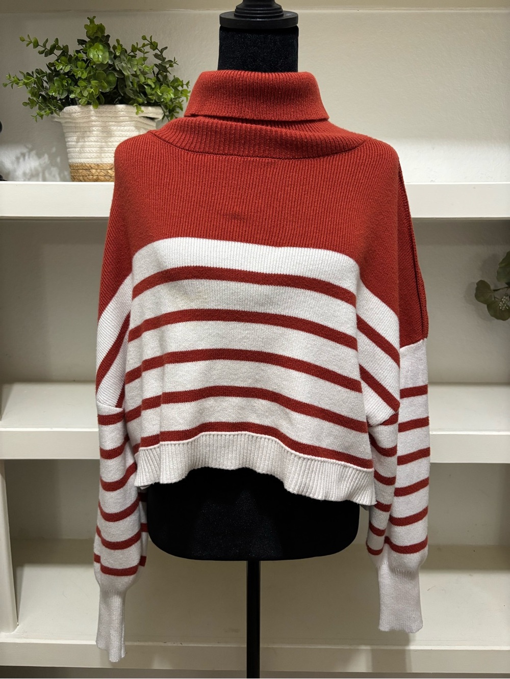 Striped Rust Red Turtleneck Sweater